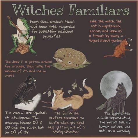 Witches familiars namws